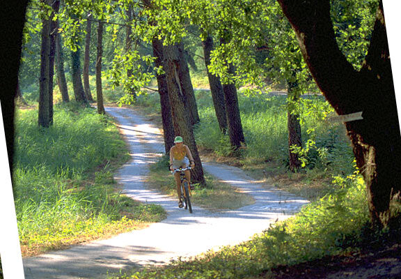 Réservez votre camping à Sanguinet